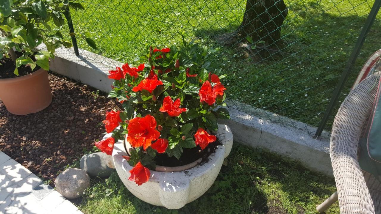 B&B Casa Gaia - Сирмионе Экстерьер фото